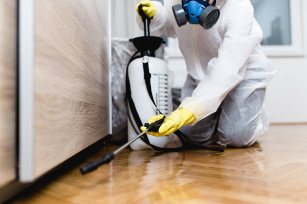 Best Cockroach Control Services  in Le Sueur, MN