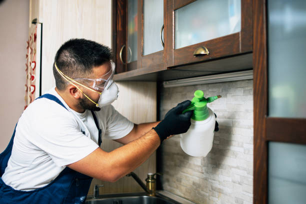 Best Flea Control Services  in Le Sueur, MN
