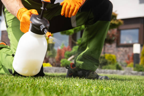 Pest Control for Restaurants in Le Sueur, MN