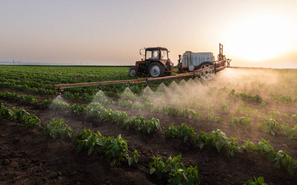 Best Ant Control Services  in Le Sueur, MN