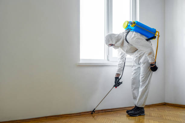 Best Exterminator Services  in Le Sueur, MN
