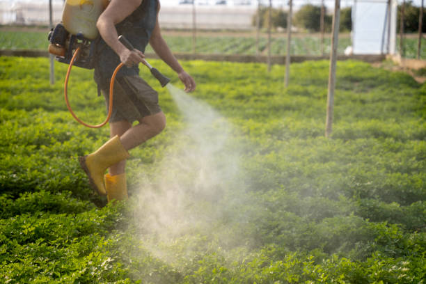 Best Commercial Pest Control Services  in Le Sueur, MN