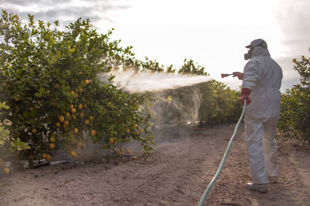 Best Affordable Pest Control Services  in Le Sueur, MN