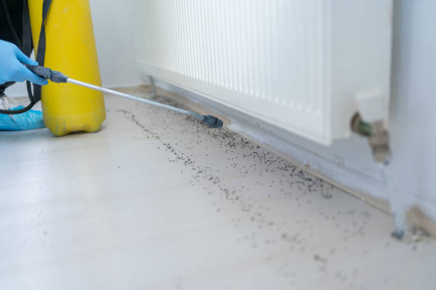 Best Pest Removal Services  in Le Sueur, MN